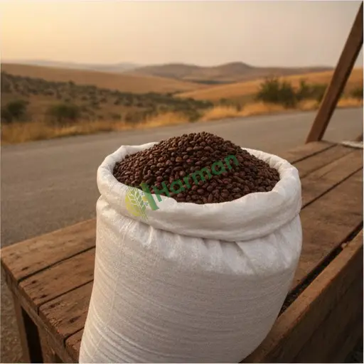 Düzce Gümüşova'da Arabica kahve satılık