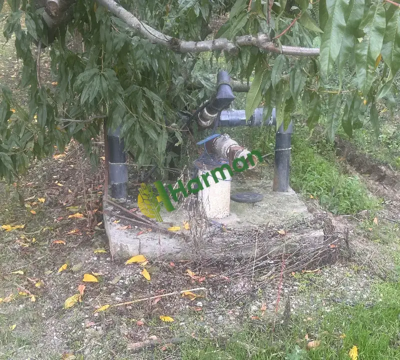 SATILIK ARMUT TARLASI TAPU