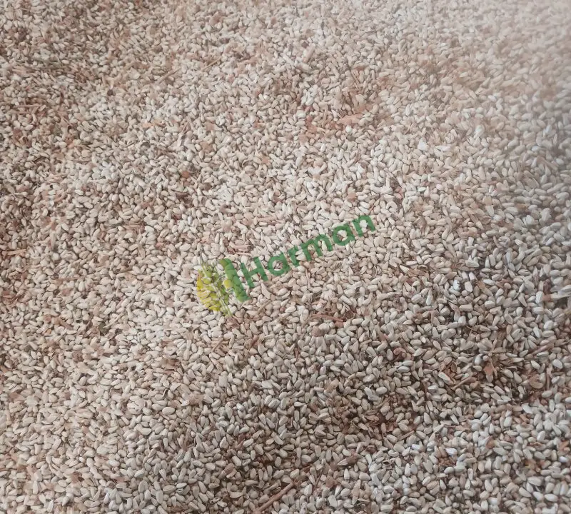 Satılık aspir
