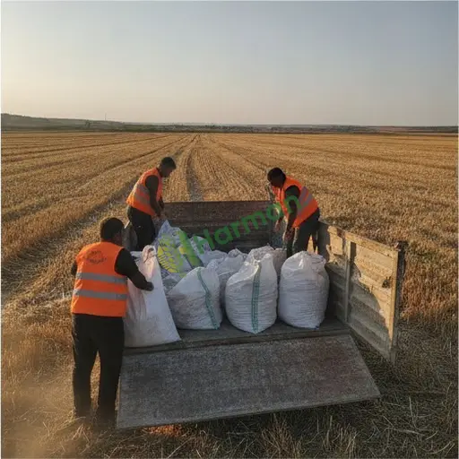 Zonguldak Ereğli'de atık yönetimi satılık
