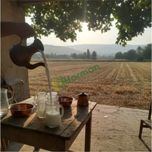 Tunceli Pülümür ayran satıyorum