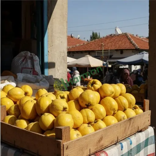 Adana Sarıçam'da ayva satılık