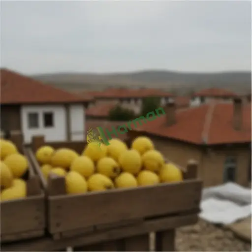 Kars Merkez'de ayva satılık