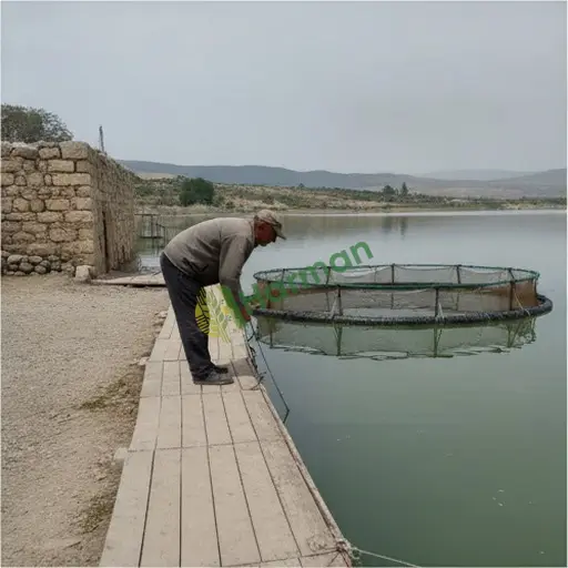 Edirne Meriç'te Balık Çiftliği Danışmanlığı Satılık