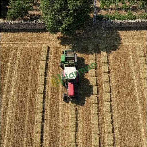 Bartın Kurucaşile'de balya yapımı işi yapılır