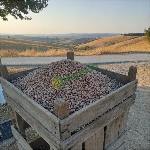 Barbunya Taze hal fiyatı