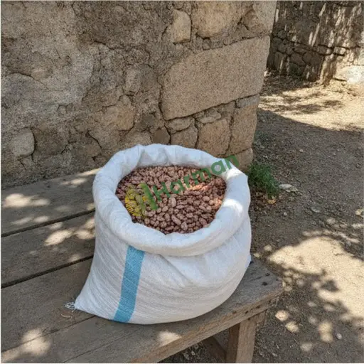 Rize Fındıklı'da barbunya tohumu satılık