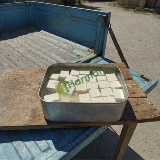 Hakkâri Çukurca’da koyun peyniri satılık