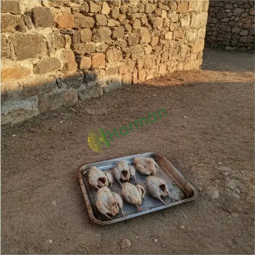 Artvin Arhavi'de bıldırcın eti satılır