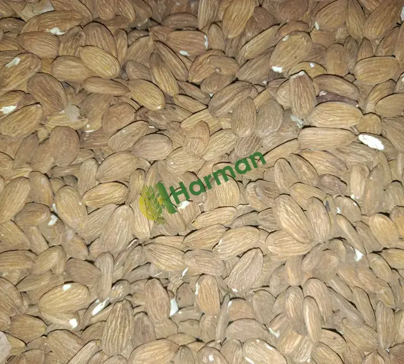 Satılık birinci kalite badem