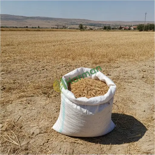 Siirt Kurtalan'da satılık buğday