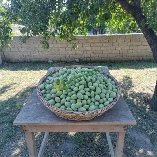 Bartın Amasra'da çağla satıyorum