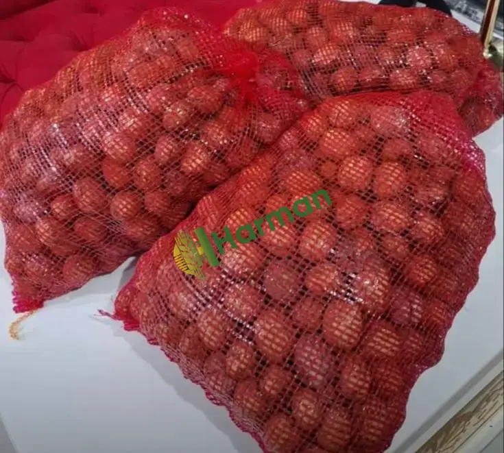 Satılık Cetner Ceviz