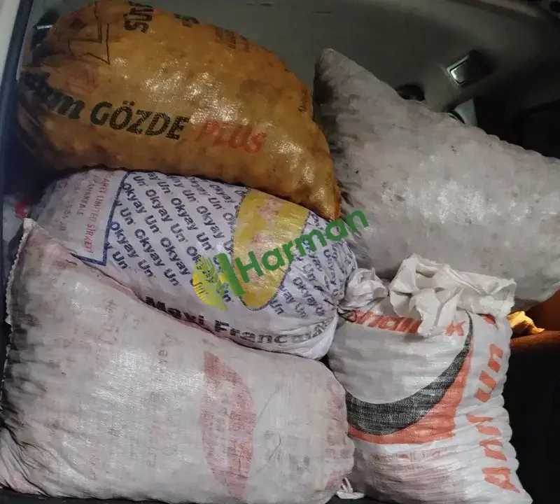 Satılık ceviz