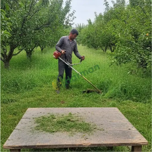 Bayburt Merkez'de çim biçme işi yapılır
