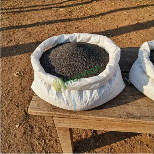 Kırklareli Babaeski çörekotu satılır