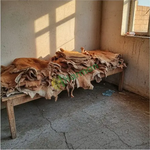 Şırnak Uludere'de keçi derisi satılık