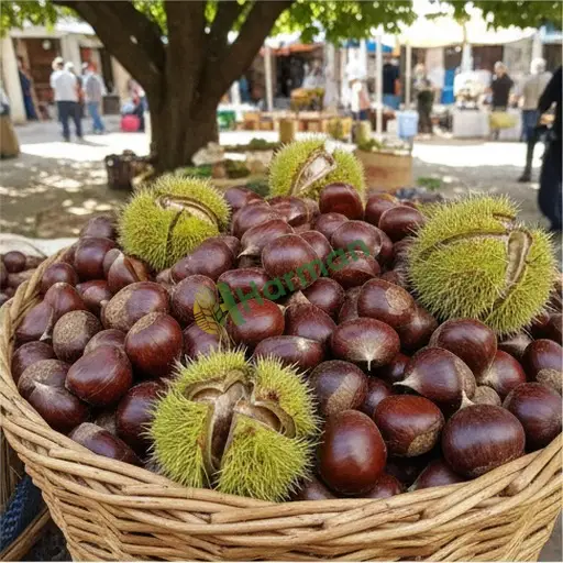 Bursa Nilüfer kestane satılır
