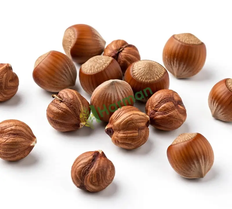 Satılık fındık Bolu Ve civarı