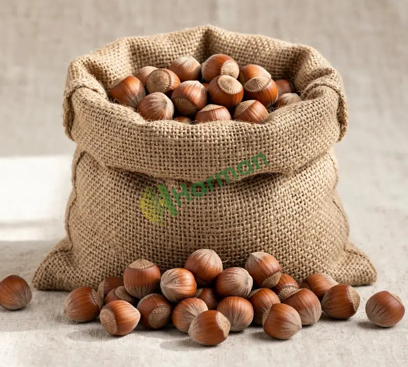 Satılık fındık Bolu Ve civarı