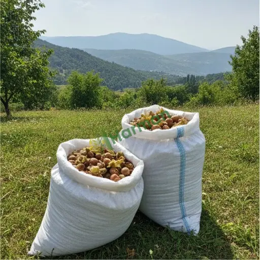 Niğde Çamardı'da fındık satılık