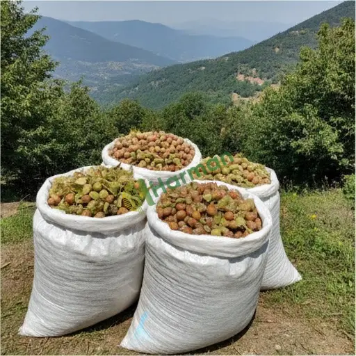 Karaman Kazımkarabekir'de fındık satılık