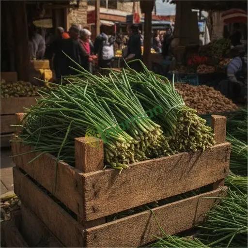 Frenk Soğanı çeşitleri