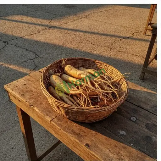 Karabük Ovacık'ta ginseng satıyorum