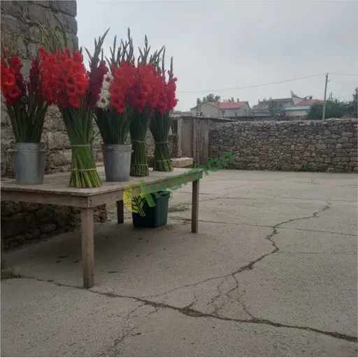 Kastamonu Hanönü'de glayöl satılık