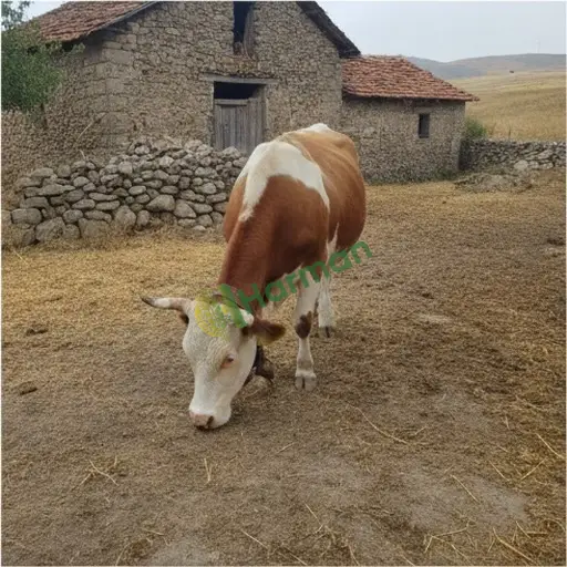 Gaziantep Oğuzeli'de hayvan takip sistemi satılık