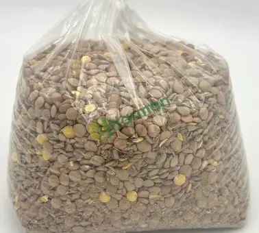 Satılık ithal yeşil mercimek
