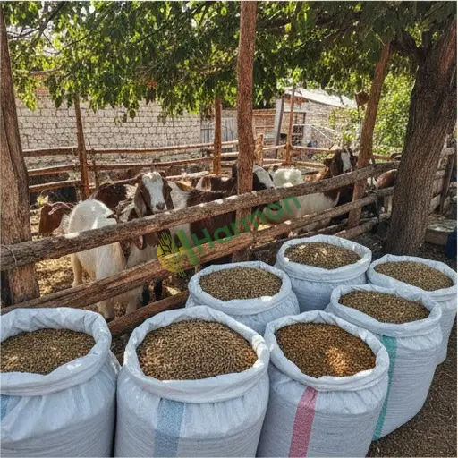 Ardahan Hanak'ta satılık keçi yemi
