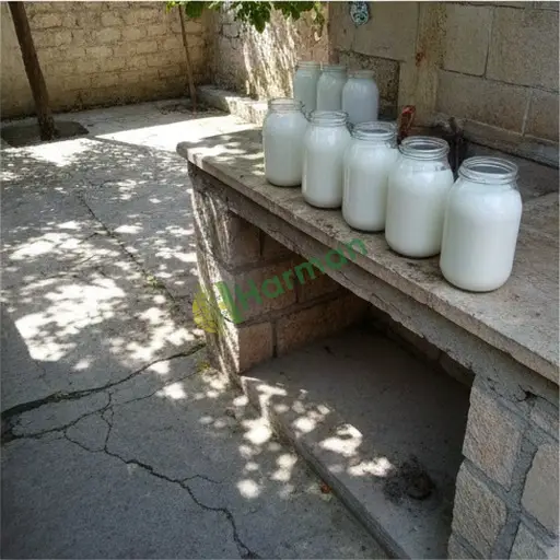Erzincan İliç'te doğal kefir satılık