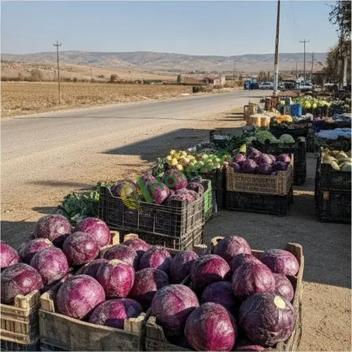 Şanlıurfa'da kırmızı lahana satılık