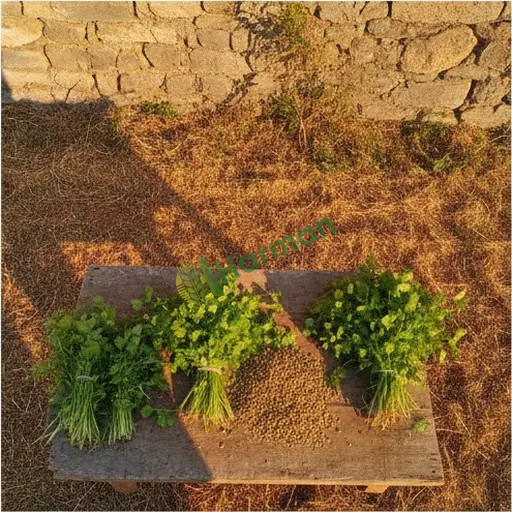 Şırnak Uludere'de kişniş satılık