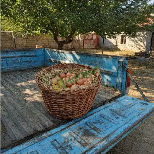 Sinop Gerze köy yumurtası satıyorum