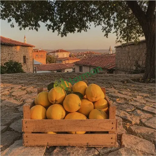 Ankara Gölbaşı'dan Ayva Satılık