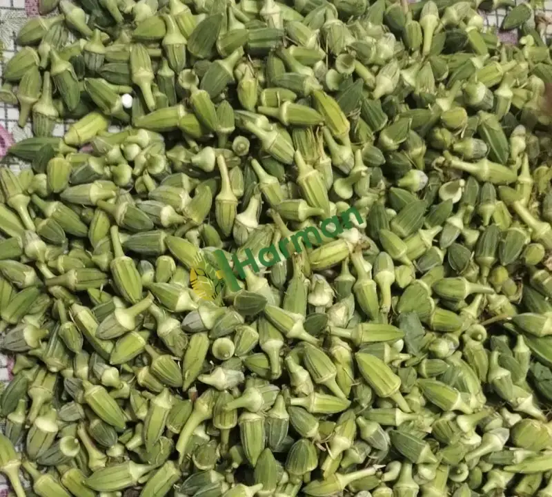 Satılık Kuru Bamya - 3