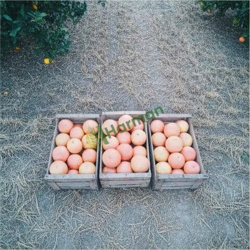 Van Bahçesaray'da Greyfurt Satıyorum