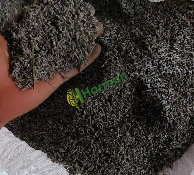 Satılık lavanta