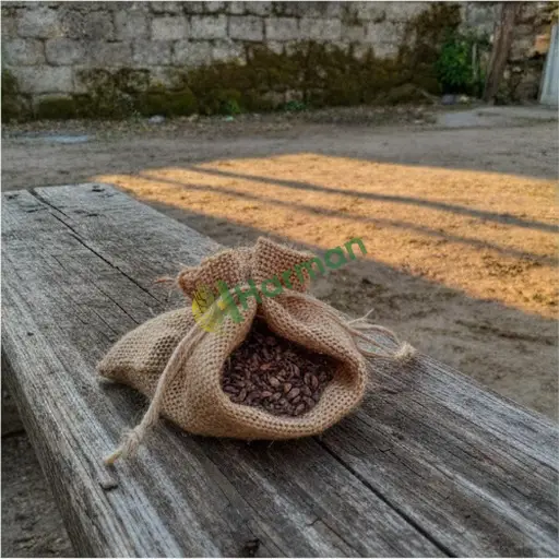 Muğla Yatağan'da leylandi tohumu satıyorum