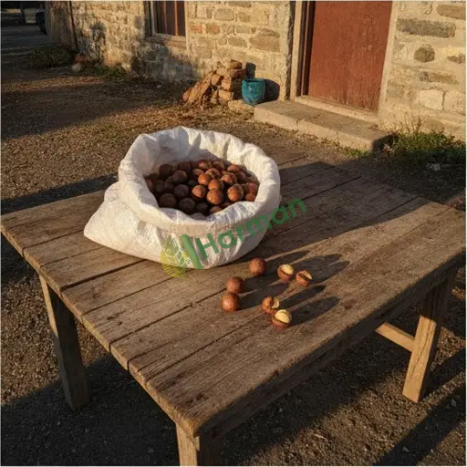 Kars Merkez'de satılık macadamia