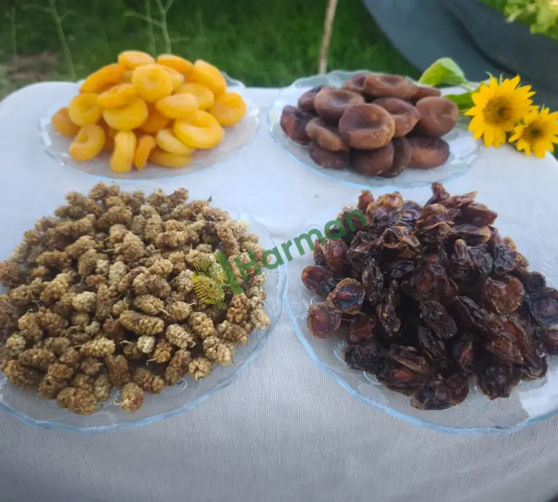 Satılık Malatya kayısısı