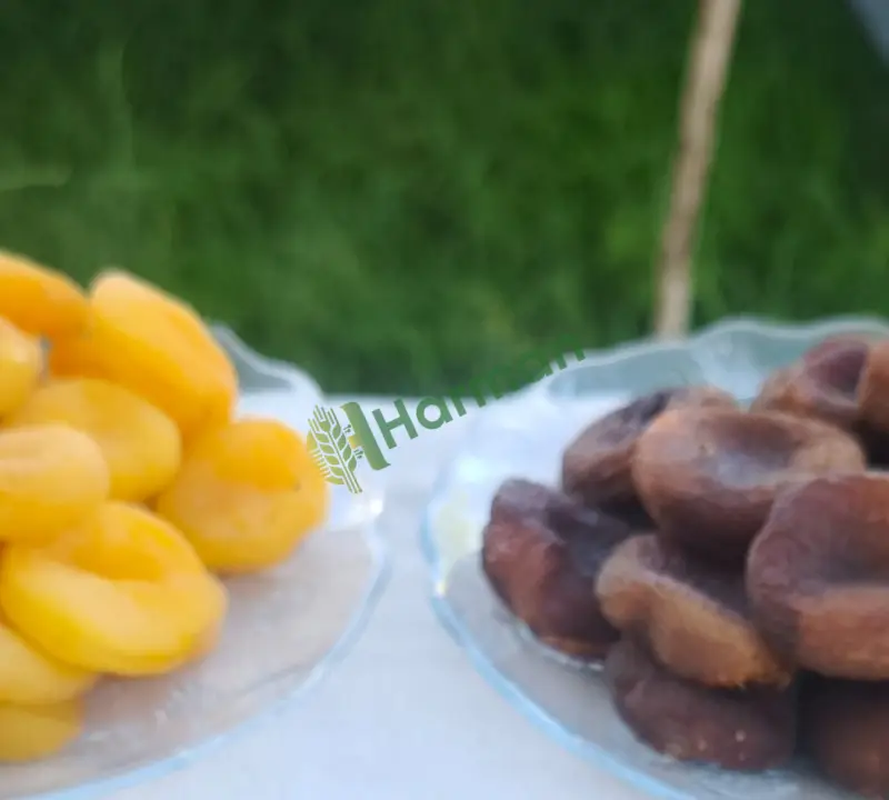 Satılık Malatya kayısısı
