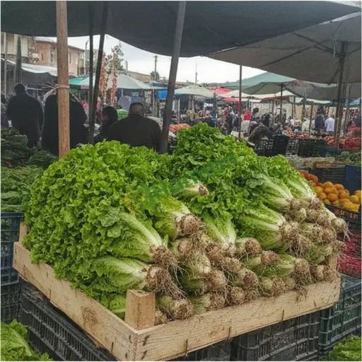 Karabük Yenice'de marul satılır