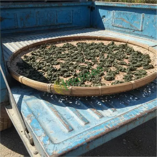 Hakkari Çukurca'da oolong çay satıyorum