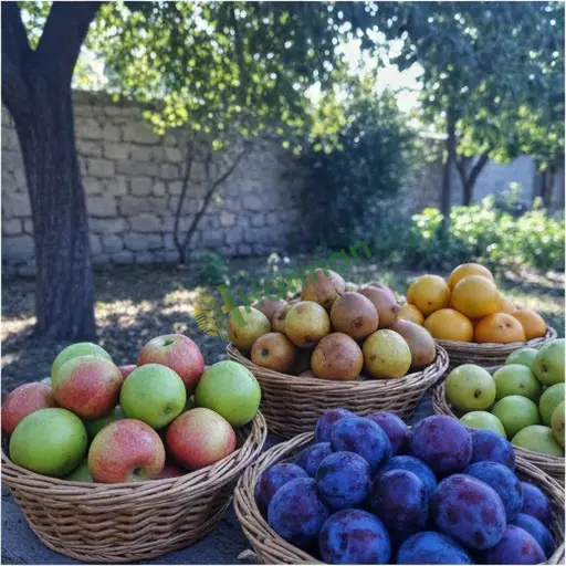 Hakkari Şemdinli organik meyve satıyorum