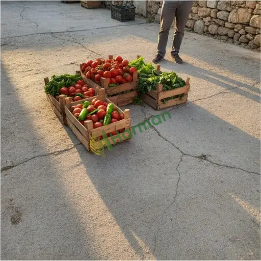 Kayseri Akkışla'da organik sebze satılık