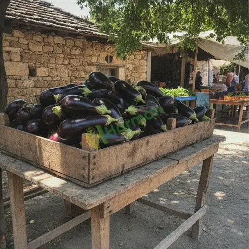 Balıkesir Burhaniye'de Taze Patlıcan