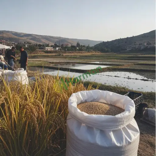 Yozgat Çekerek'ten Çeltik Pirinç Satılık